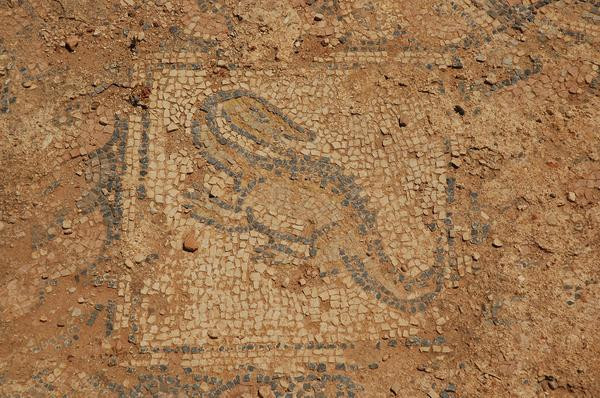 Taucheira, Palace Church, mosaic, lizard