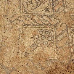 Taucheira, Palace Church, mosaic, tree
