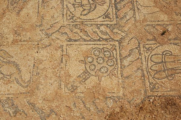 Taucheira, Palace Church, mosaic, tree