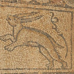 Taucheira, Palace Church, mosaic, hare