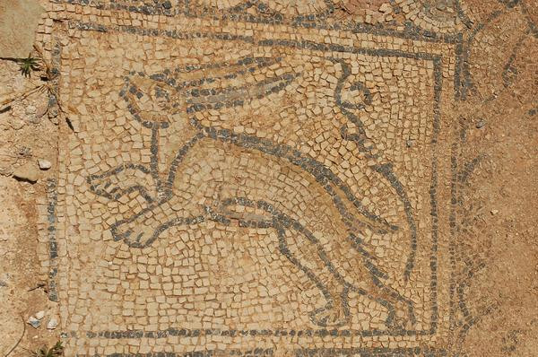 Taucheira, Palace Church, mosaic, hare