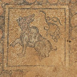 Taucheira, Palace Church, mosaic, wolf with grapes