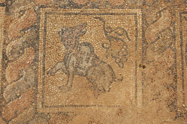 Taucheira, Palace Church, mosaic, wolf with grapes