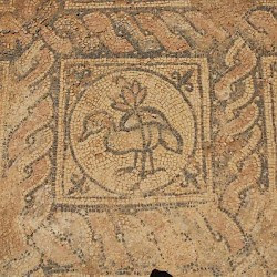 Taucheira, Palace Church, mosaic, duck