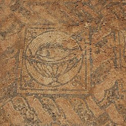Taucheira, Palace Church, mosaic, fish
