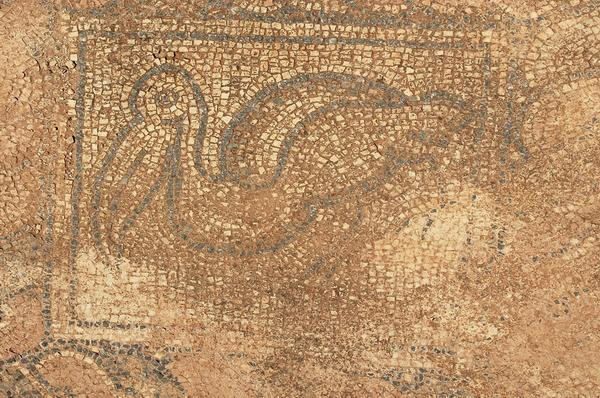 Taucheira, Palace Church, mosaic, pelican