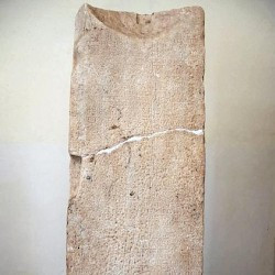 Taucheira, Decree of Aleximachus