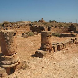 Taucheira, East Basilica, Columns