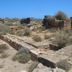 Taucheira, Gymnasium