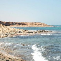 Taucheira, Harbor