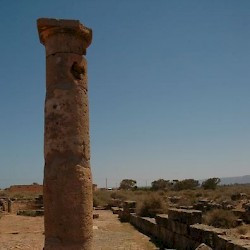 Column in the East Basilica