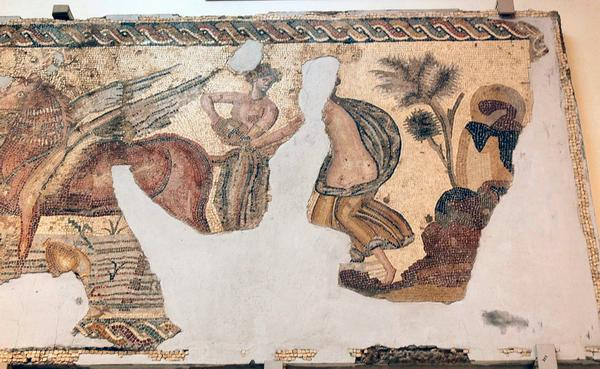 Fourth mosaic, Pegasus