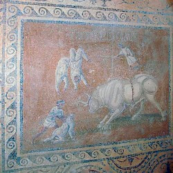 Villa Selene, Mosaic of the acrobats