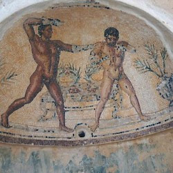 Villa Selene, Baths, Room 43, mosaic