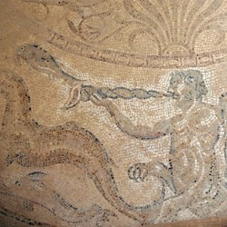 Villa Selene, Baths, Room 43, mosaic