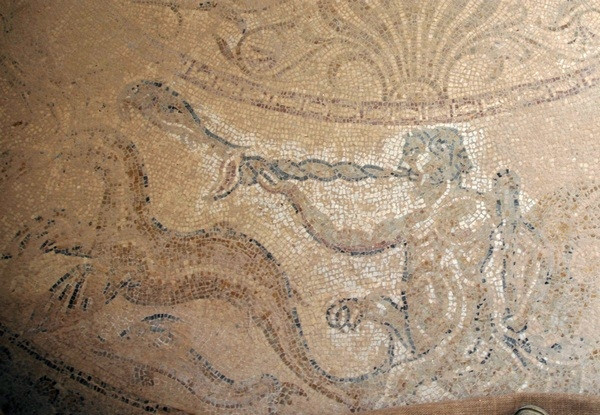 Villa Selene, Baths, Room 43, mosaic