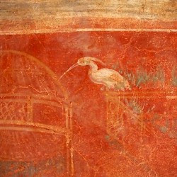 Villa Selene, Atrium, wall painting of birds and cages