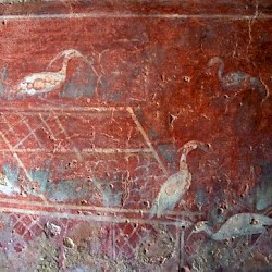 Villa Selene, Atrium, wall painting of birds and cages