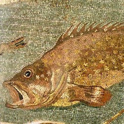 Emporiae, Roman town: mosaic with fish