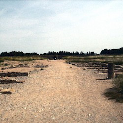 Emporiae, Roman town, cardo