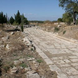 Didyma, Sacred road