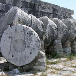 Didyma, Temple of Apollo. fallen column