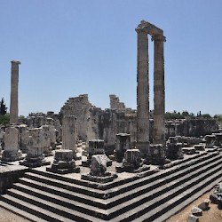 Didyma, temple of Apollo, General view