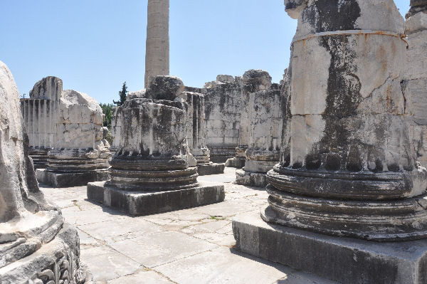 Didyma, Temple of Apollo, entrance, columns