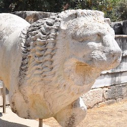 Didyma, Temple of Apollo, lion