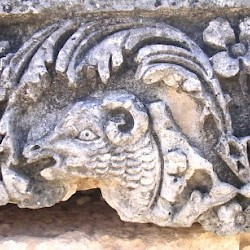 Diocaesarea, temple of Zeus, decoration: a ram