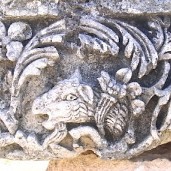 Diocaesarea, temple of Zeus, decoration: a sheep (1)