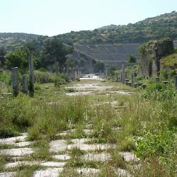 Ephesus, Arcadian Road