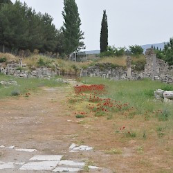 Ephesus, Commercial Agora