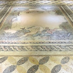 Nisibis, Roman mosaic with aquatic animals