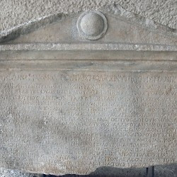 Troy VIII, Treaty between Troy and six other towns