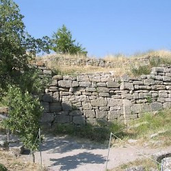 Troy VI, House