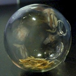 Mainz, Temple of Isis and Magna Mater, Glass globes
