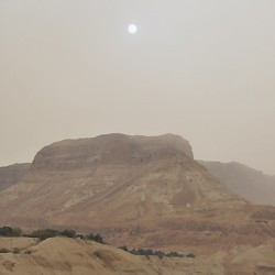 Masada in the mist