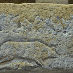 Vindolanda, The boar of XX Valeria Victrix