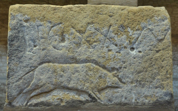 Vindolanda, The boar of XX Valeria Victrix