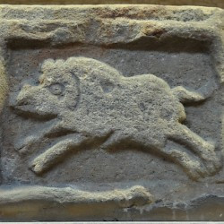 Vindolanda, The boar of XX Valeria Victrix