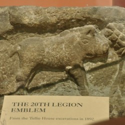 Carlisle, The boar of XX Valeria Victrix