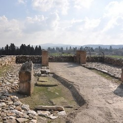 Megiddo, South stables