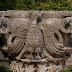 Kavala, Animal capital