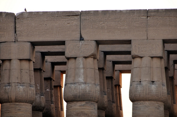 Luxor, Temple, Capitals of columns