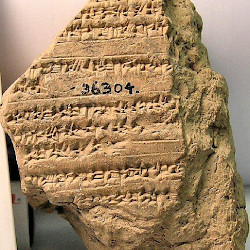 BCHP 01 Alexander Chronicle, reverse