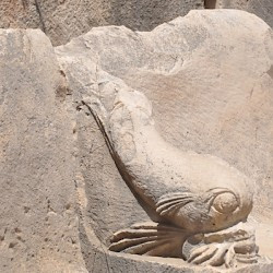 Myra, Theater, Seat, Dolphin