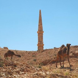 Msletten, Northern tomb, Dromedaries blocking our approach