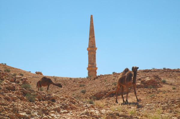 Msletten, Northern tomb, Dromedaries blocking our approach