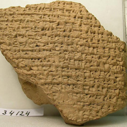 BCHP 19 Arsacid King (BM 34124), Reverse